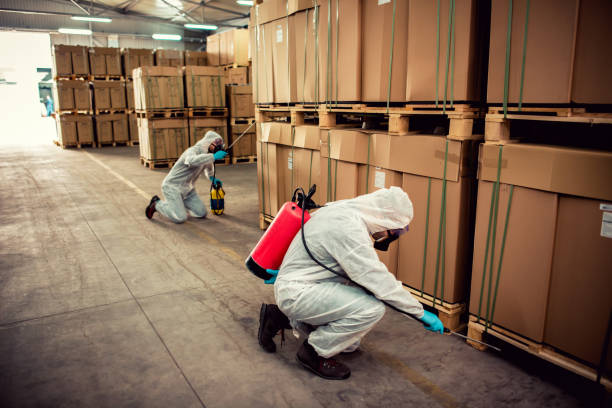 Best Pest Control for Homes  in Troy, TX