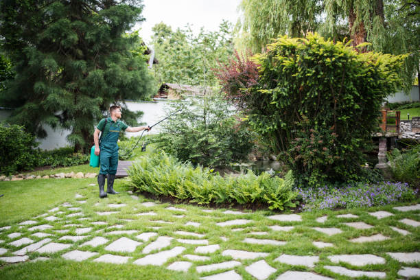 Best Residential Pest Control  in Troy, TX