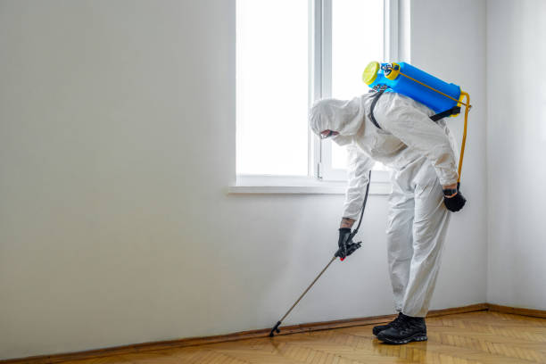 Best Affordable Pest Control Services  in Troy, TX
