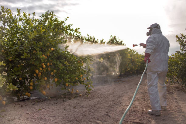 Best Affordable Pest Control Services  in Troy, TX