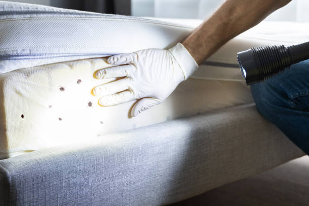 Best Best Pest Control Near Me  in Troy, TX