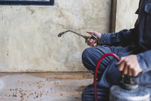 Best Affordable Pest Control Services  in Troy, TX